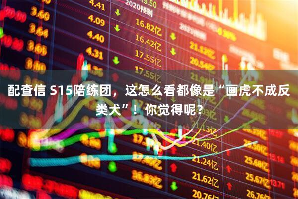 配查信 S15陪练团，这怎么看都像是“画虎不成反类犬”！你觉得呢？