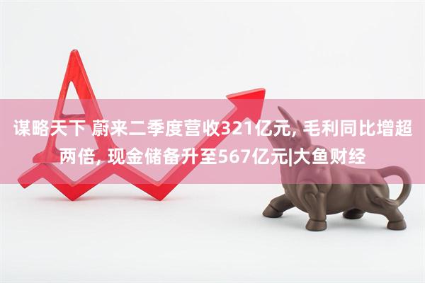 谋略天下 蔚来二季度营收321亿元, 毛利同比增超两倍, 现金储备升至567亿元|大鱼财经